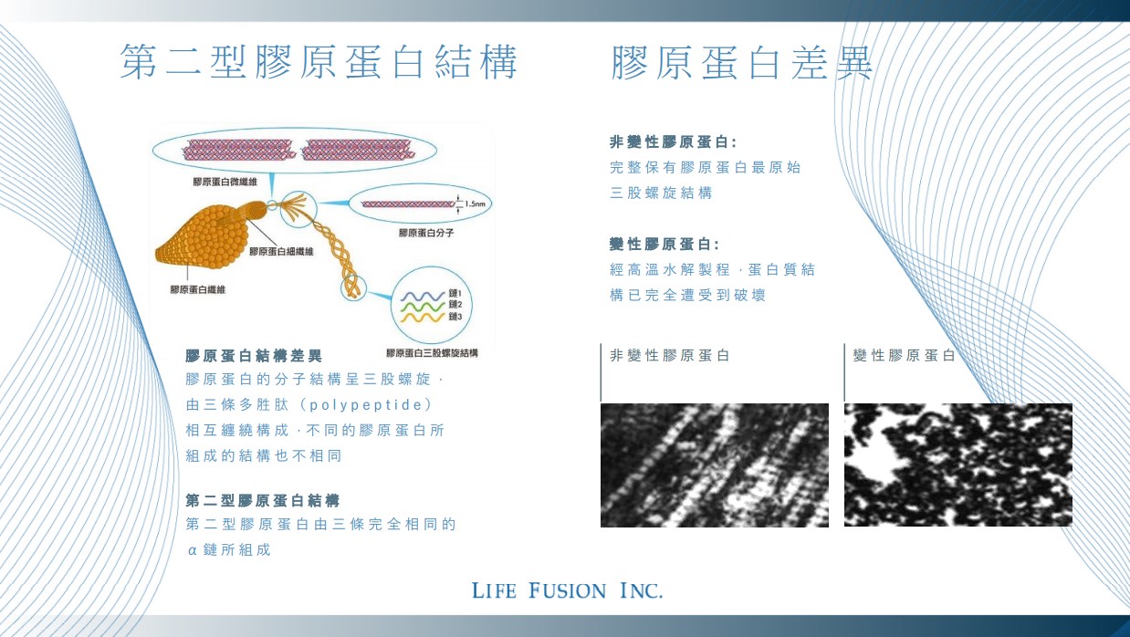 新品上市~膠蓋站非變性二型膠原蛋白